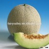 Hybrid F1 muskmelon seeds cantaloupe seeds japanese melon seeds For planting-Pearl
