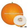 Hybrid Japanese melon seeds golden sweet melon seeds For Growing-Jin Guan