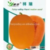 Early maturing hybrid melon seeds japanese melon seeds For Growing-Xiang Rui