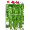 F1 Hybrid bitter melon seeds Bitter gourd seeds for growing-New Hafun