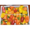 Hybrid mini Colorful sweet pepper seeds for growing-MiNi