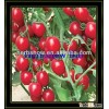 2016 Newly F1 Hybrid Cherry Tomato seeds /Disease Resistance