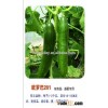 Hybrid F1 Hot Resistance Fruit Type Seedless Cucumber Seeds For Sale-Europa 201