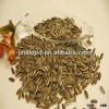 sunflower seed 5009 export