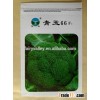 High Disease Resistance Green Jade 66-Hybrid F1 Broccoli Seeds