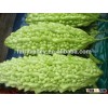 High quality Hybrid Bitter gourd seedsfor growing- White Dragon
