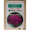 High Resistance hybrid purple Cauliflower seeds for growing and Sale-Purple pine F1