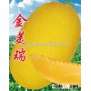 85 days Chinese hybrid F1 hami melon seeds For planting-Jin Mei Rui