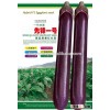 Super High Yield Hybrid Black Purple Long Eggplant Seeds For Sale-pioneer No.1