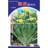 Good quality cabbage seeds for planted-Lianzhou Cabbage-Leaf No.1