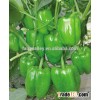 Hybrid high yield sweet pepper seeds for growing-Hen 115