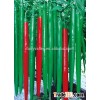 High disease resistance hybrid high yield chili pepper seeds for planting-New No.3
