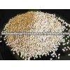 Hulled auto dried sesame seeds indian origin