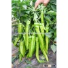 Hybrid high yield green pepper seeds for growing-Green US
