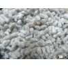 Cameroon Cotton Seeds