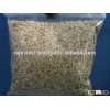 Supplies Of Natural White Sesame Seed (99/1) To Vietnam