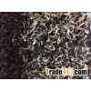 2016 Moringa Oleifera seeds