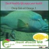 2016 Touchhealthy supply deep sea refined fish oil EPA/DHA 10%/40%