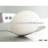 Poultry White Eggs