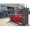 Newest Design Heavy Duty Powder Coating or Galvanized Cattle Crush