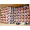 farm fresh chicken eggs