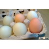 Fresh White and Brown Chicken Table Eggs