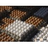 Fresh Table and Broiler Eggs Available For sale