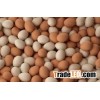QUALITY FRESH CHICKEN EGGS EXPORTERS