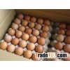 Fresh white shell chicken table eggs