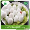 Import fresh quail eggs