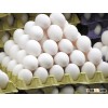 Fresh Chicken Table Eggs & Fertilized Hatching Eggs At Affordable Prices