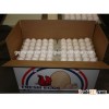 Export and supply of Farm fresh Indian White shell chicken eggs