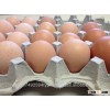 Fresh Table Eggs-White and Brown Chicken Eggs At Best Market Price