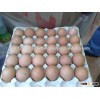 White/Brown Fresh Table Chicken Eggs