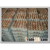 Ready A grade Fresh Brown and White Table Eggs