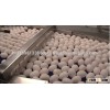 CLEAN AFFORDABLE FRESH WHITE AND BROWN EGGS BRAZIL ORIGIN