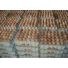 Farm Fresh Chicken Eggs