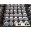 Fresh Table Eggs White and Brown Chicken Eggs
