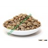 Organic Arabica Coffee Green Beans