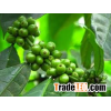 Green Ethiopian Coffee Bean