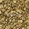 Arabica Green Coffee Beans Grade 1 Screen 16 for sale