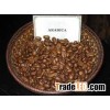 Premium Quality Roasted Arabica Coffee Beans