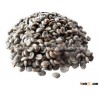 Arabica Coffee Green Beans from the Himalaya