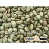 Top Quality Arabica Green Coffee Beans