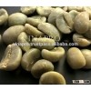 MANUFACTURER OF VIETNAM WASHED ARABICA COFFEE BEANS, GRADE 1, SCREEN 18