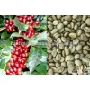 Vietnam ROBUSTA COFFEE NEW CROP 2014