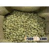 Coffee Beans - Green Arabica Coffee Beans - Retail and Bulk Prices -
