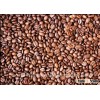Coffee Beans, Robusta Coffee Beans, Arabica Coffee Beans