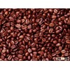 VIETNAM ROBUSTA COFFEE BEANS WITH BEST PRICE