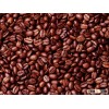 HIGH QUALITY ROBUSTA COFFEE BEANS FROM VIETNAM